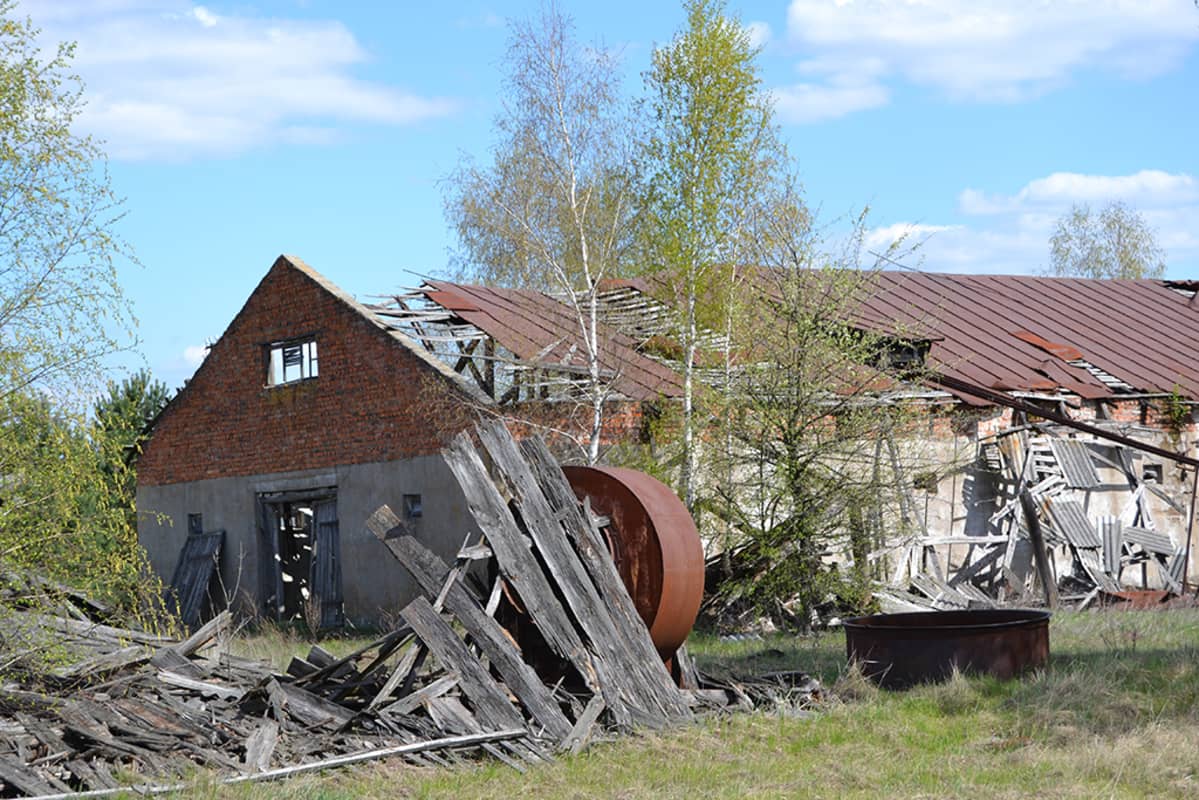 Kolhoosirakennus seisoo hylättynä. Rakennuksen katto on useassa kohtaa romahtanut. Pihalla on epämääräistä rojua ja lahonnutta lautatavaraa. Koivut rakennuksen edustalla ovat vaaleassa alkukeväisessä lehdessä. Taivas on kirkkaan vaaleansininen.