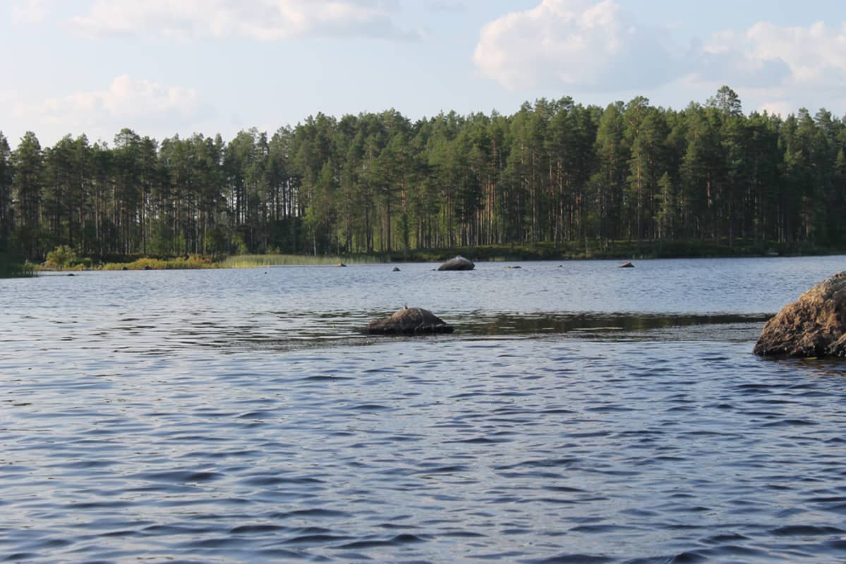 Kivijärvi.