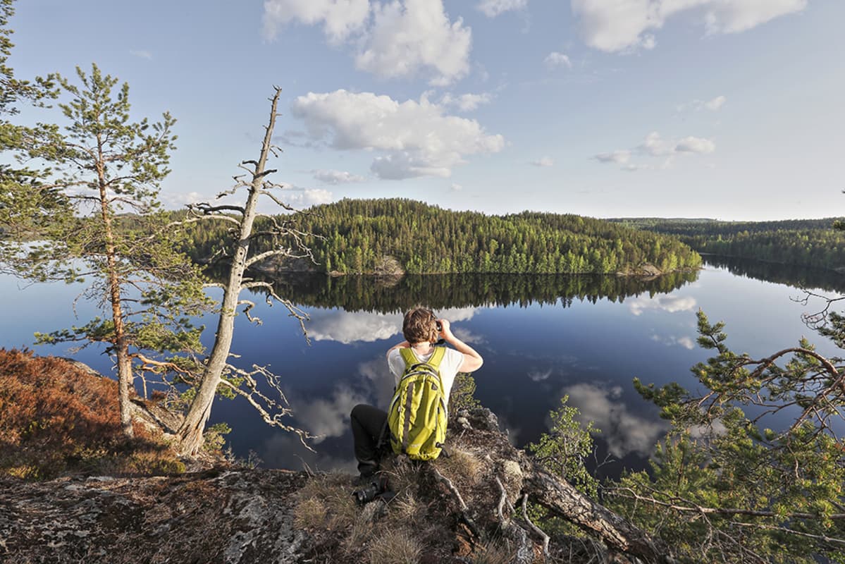 Maisema Sulkavan Linnavuorelta.