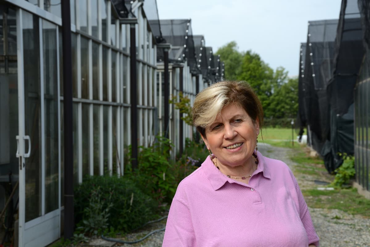 Maria Lodovica Gullino