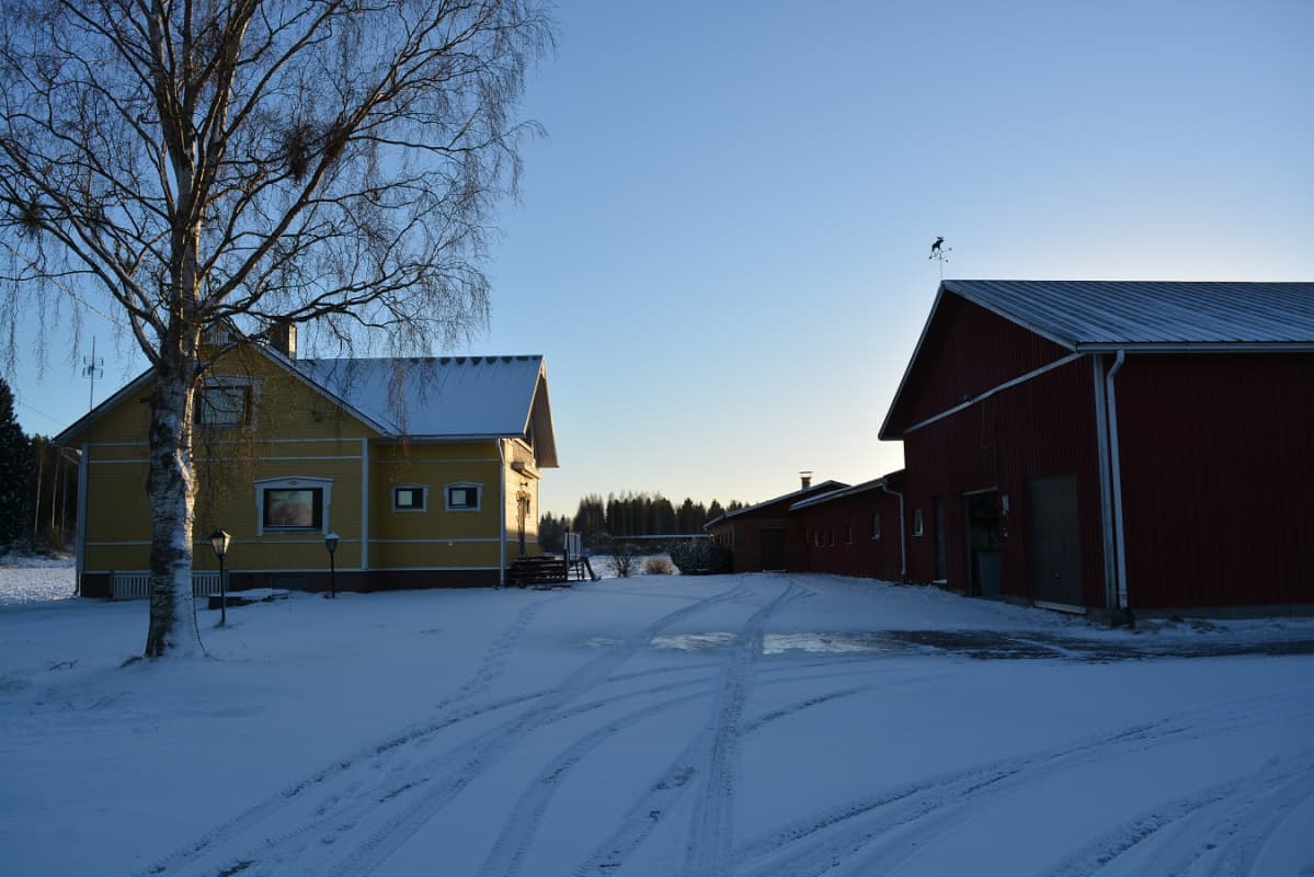 maatilan rakennuksia