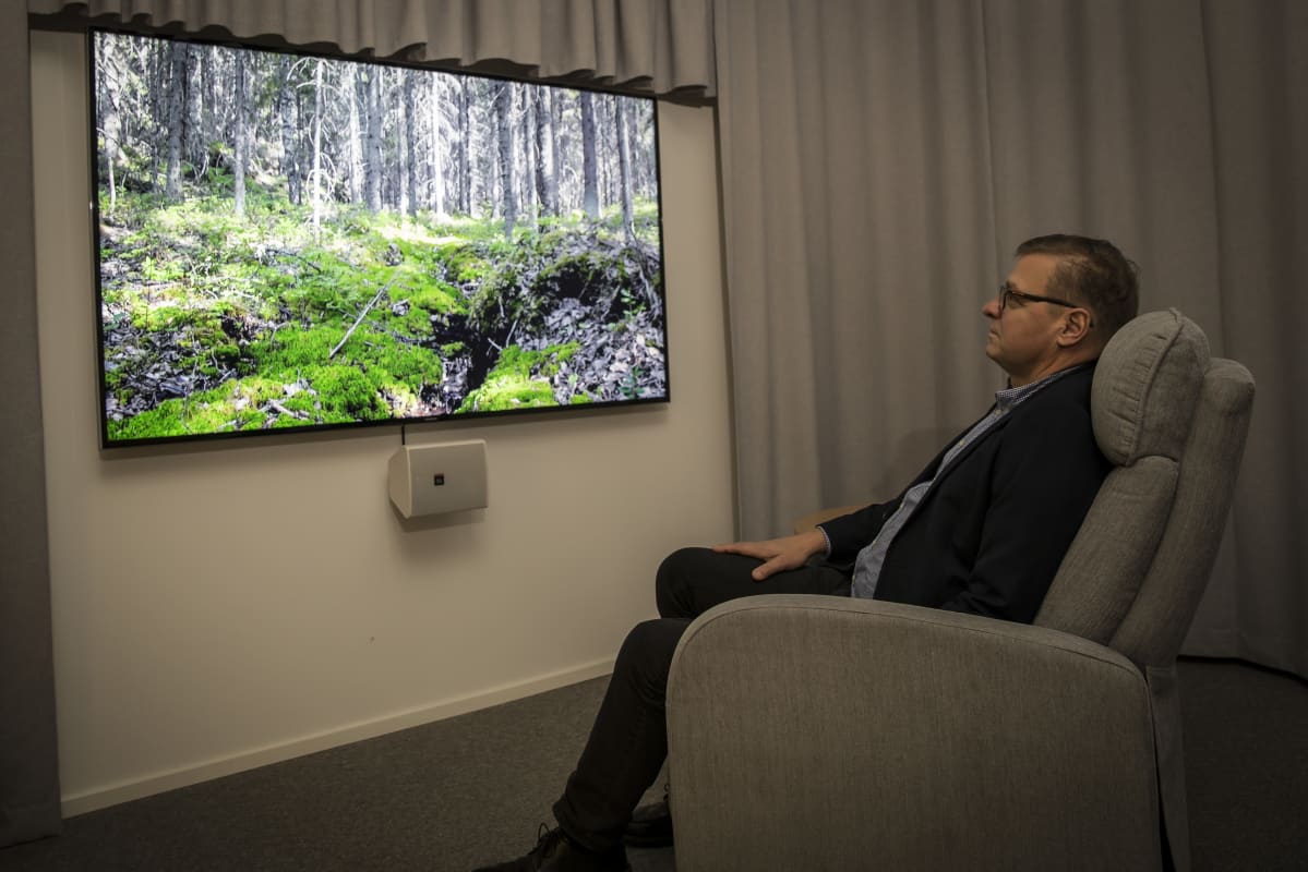 mies katselee metsävideota taukotilassa plk
