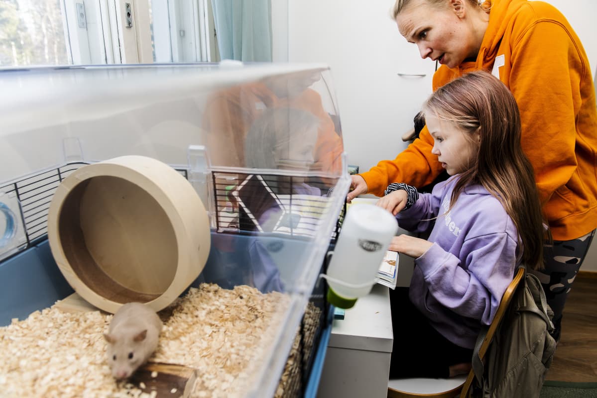 Alina ja Miira tekevät englannin tehtäviä, Käpy-hamsteri seuraa vierestä.