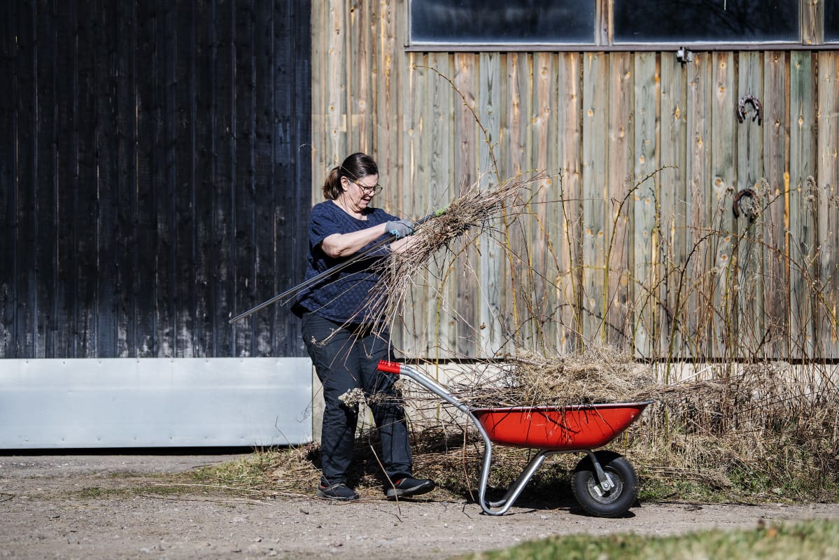 Kuvassa Tiia Kylänpää tekee kevättöitä kotipuutarhassaan.