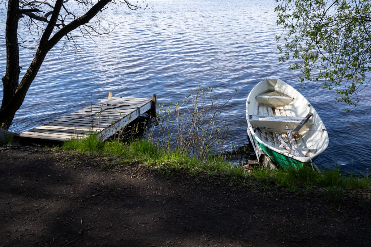 Soutuveneitä rannalla.