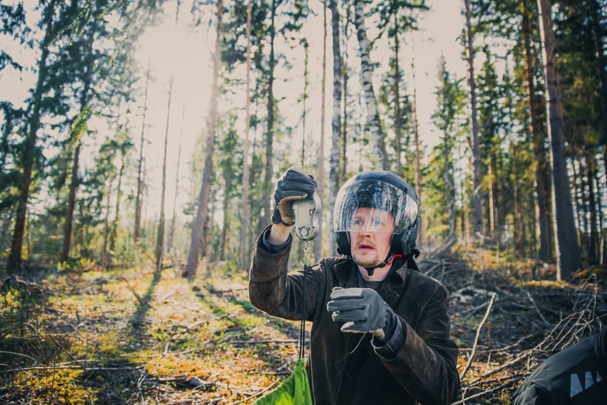 Rengastaja punnitsee pöllöä