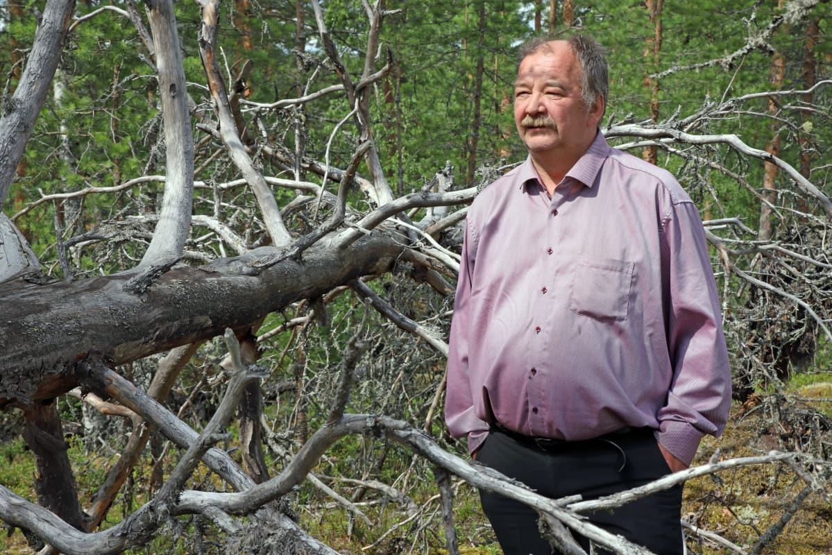 Sulkavalainen Hannu Auvinen Asta-myrskyn 2010 kaatamien puiden äärellä.