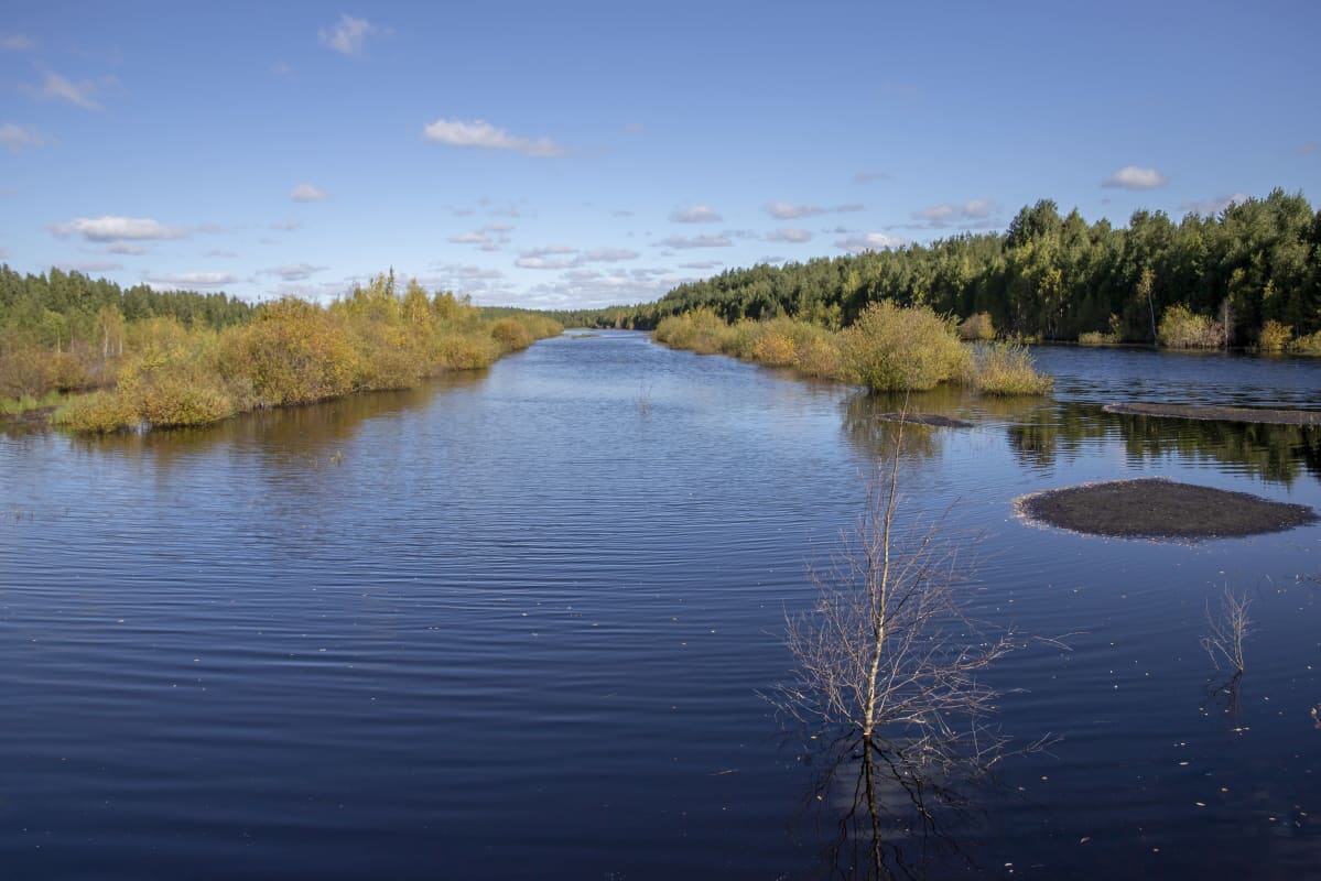 Veden peittämä entinen turvetuotantoalue