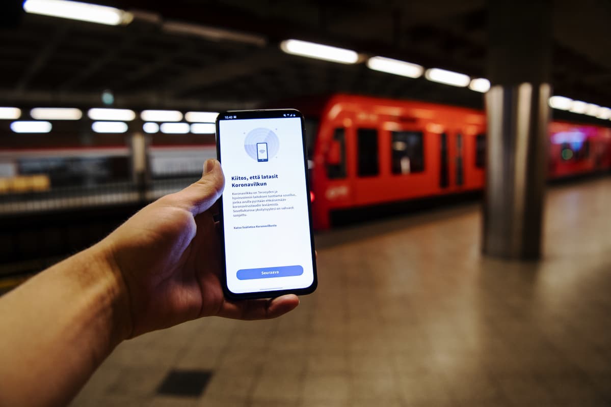 Kuvassa on puhelin, jonka ruudulla on Koronavilkku-sovellus elokuussa 2020.