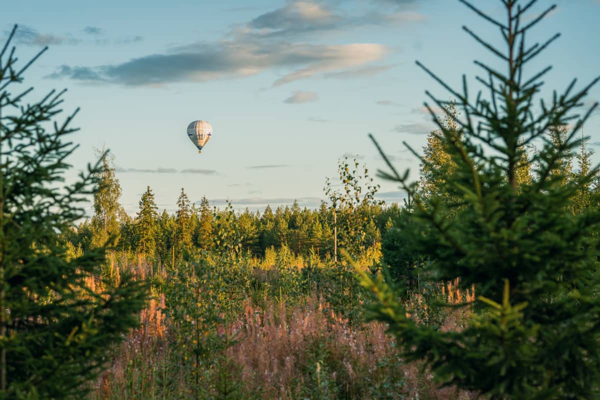 Kuumailmapallo lentää metsän yläpuolella.