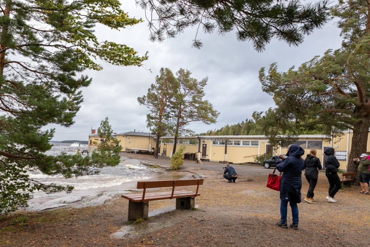 Myrskybongareita rannalla