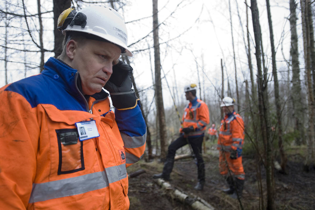 suojakypäräpäisiä miehiä metsässä