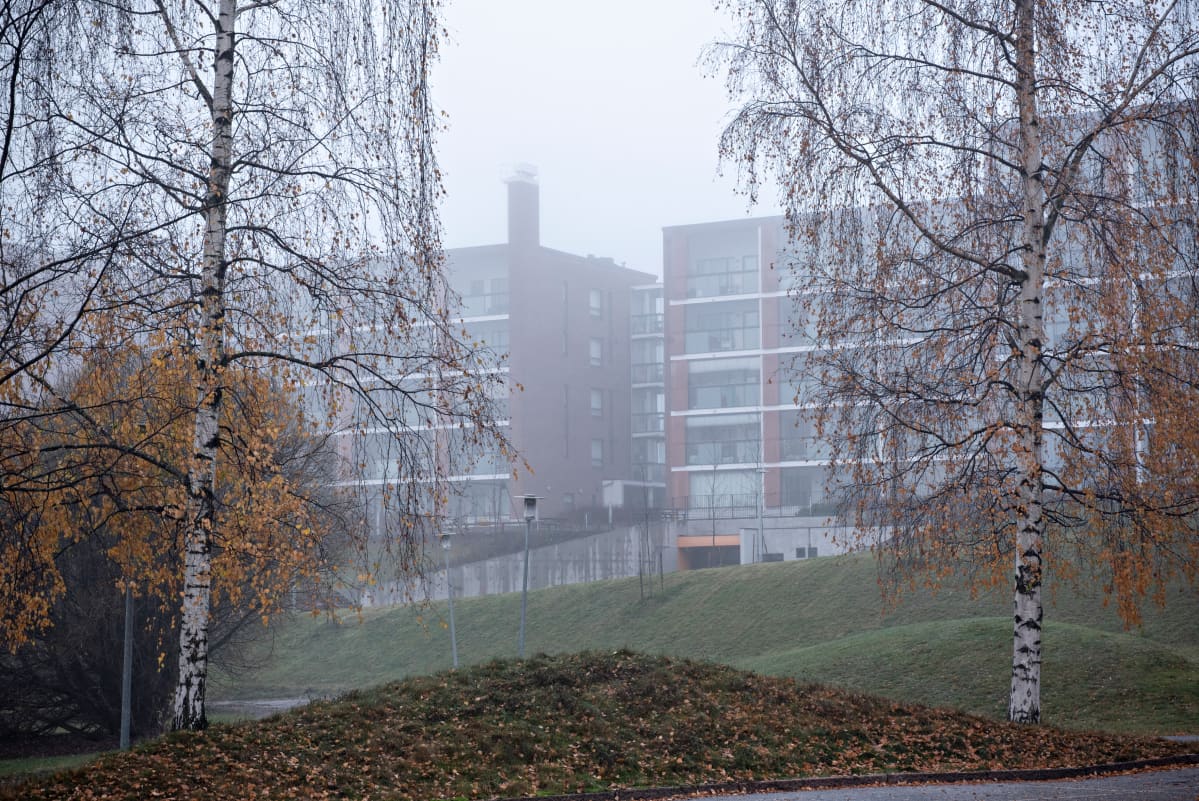 Sumua Helsingin Länsi-Pasilassa sunnuntaiaamuna 3. marraskuuta 2019.
