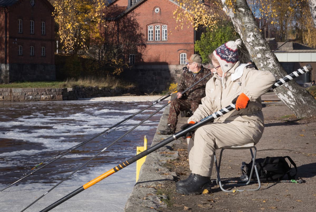Kalastajia Vanhankaupunginkoskella