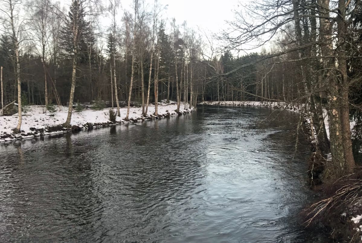 Koivukoski