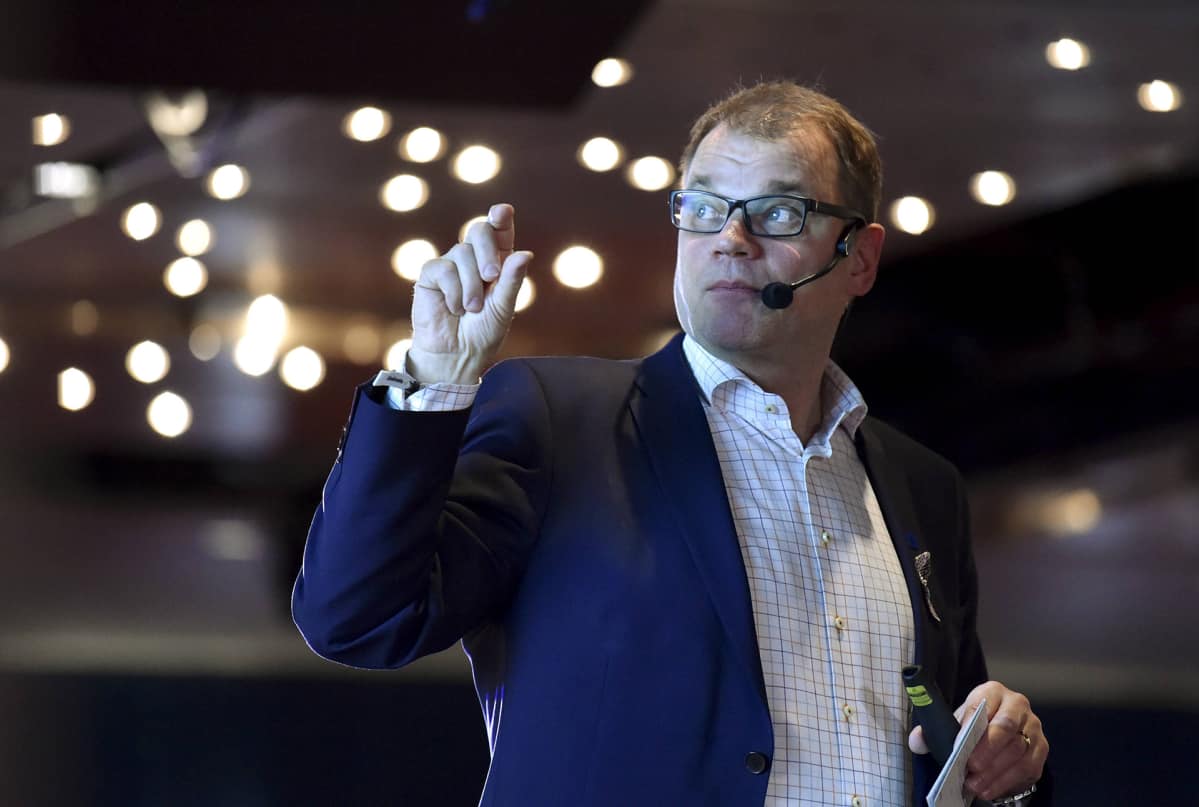 Pääministeri Juha Sipilä Keskustan Helsingistä Tallinnaan ja takaisin suuntautuvalla presidentti- ja maakuntaristeilyllä 15. lokakuuta