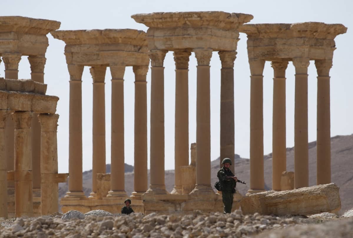 palmyra