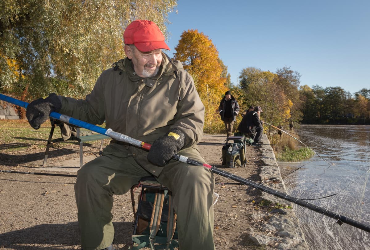 Pekka Puttonen kalastaa haavilla Vanhankaupunginkoskella.