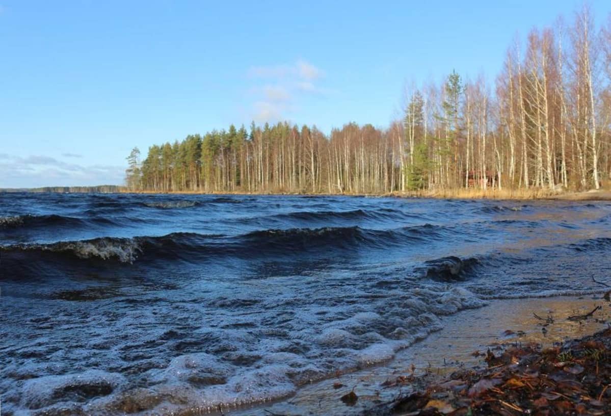 Vettä.