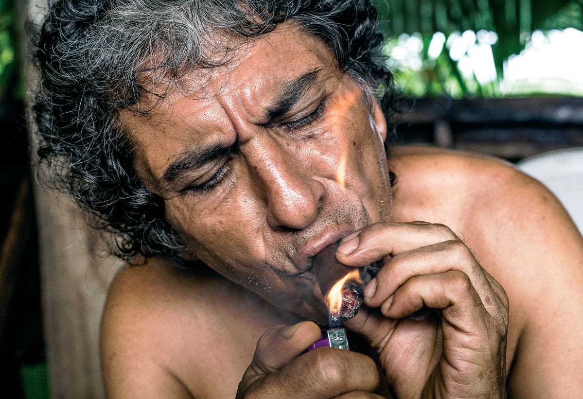 ayahuasca