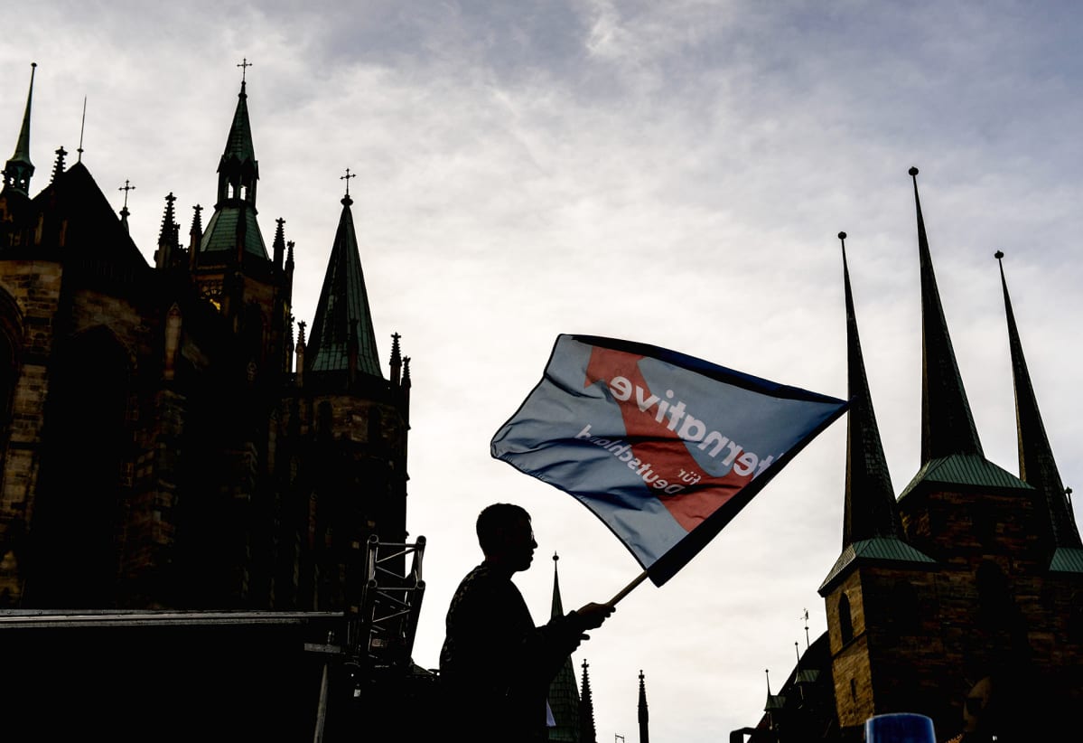 AfD: puolueen kannattaja pitelee puolueen lippua.