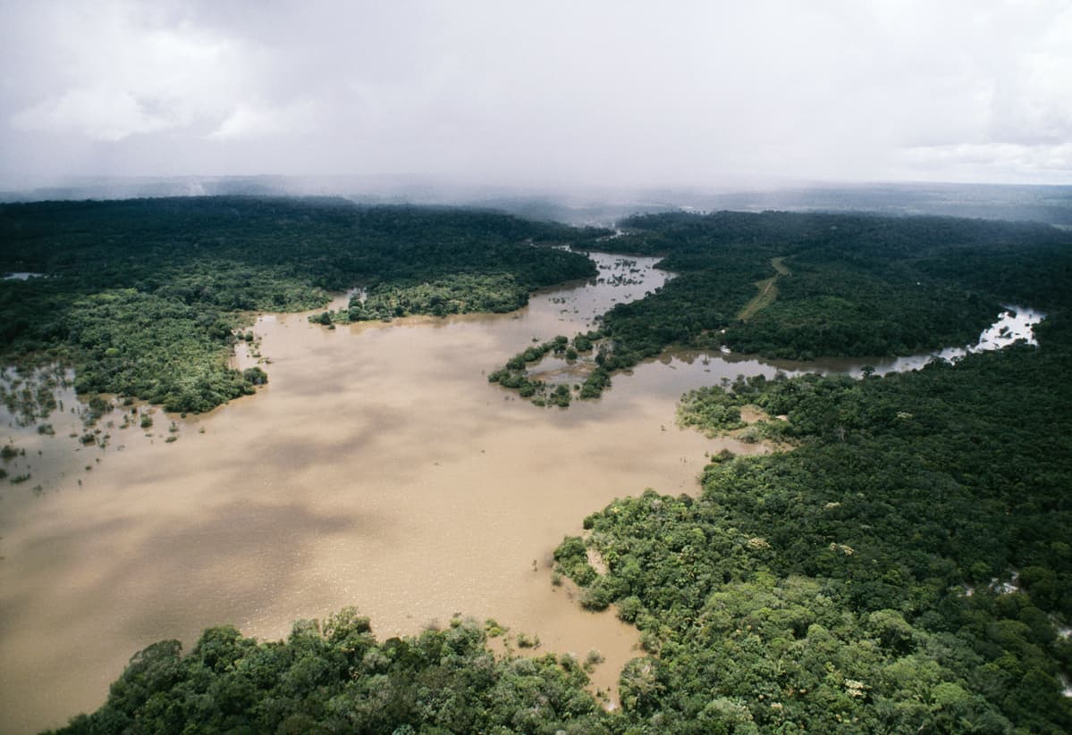 amazonin joki brasiliassa