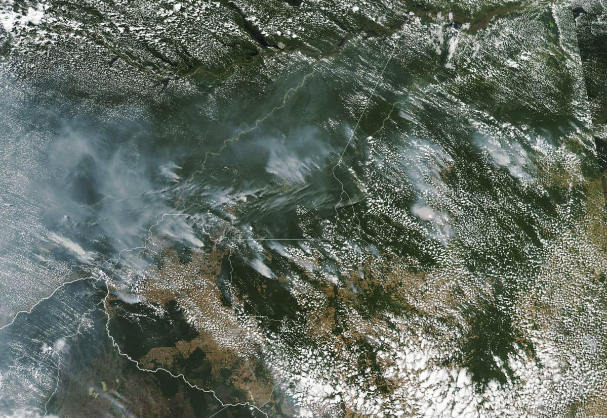 Metsäpaloja satelliittikuvassa