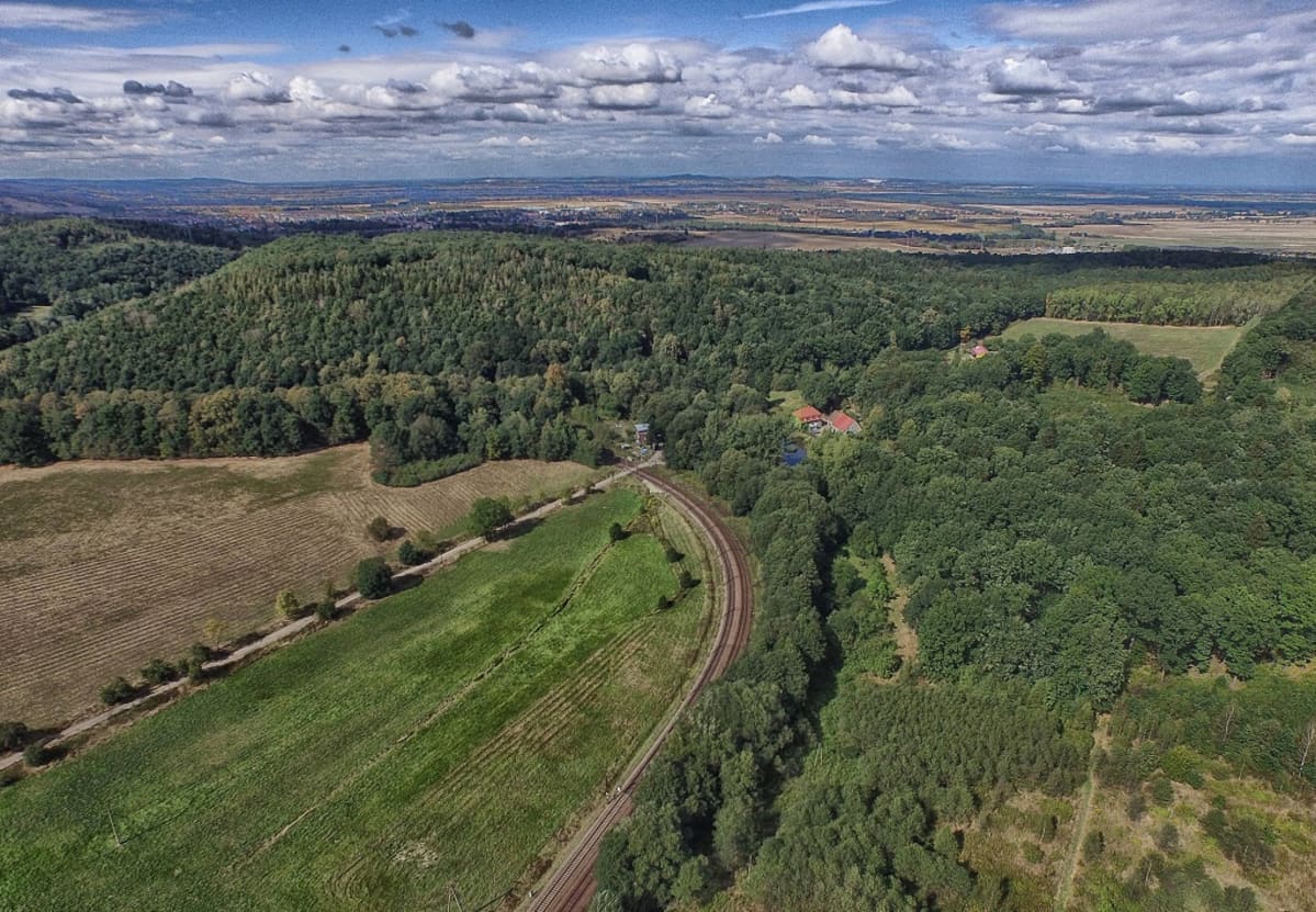 Ilmakuva kumpuilevasta metsä ja peltomaisemasta.