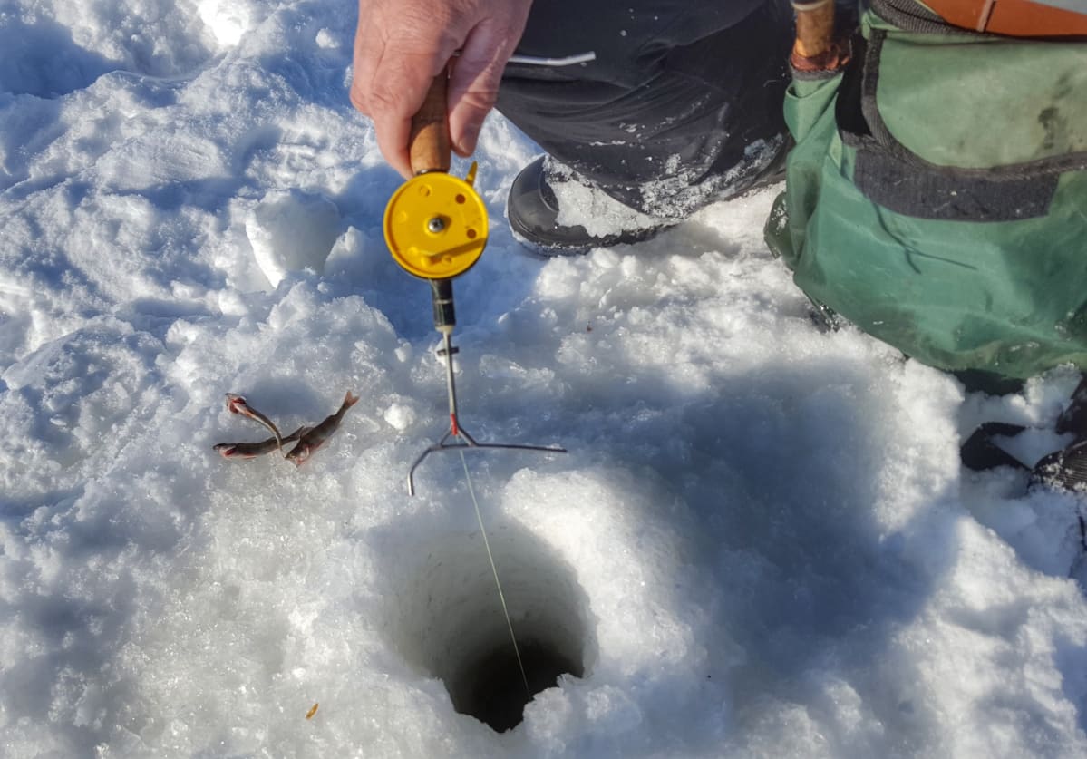 Pilkkimistä Kuusamojärven jäällä.