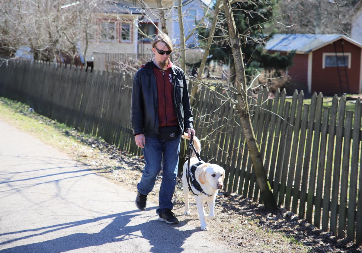 Jamppa Mikkola ja Nalli-opaskoira kävelevät kadulla.