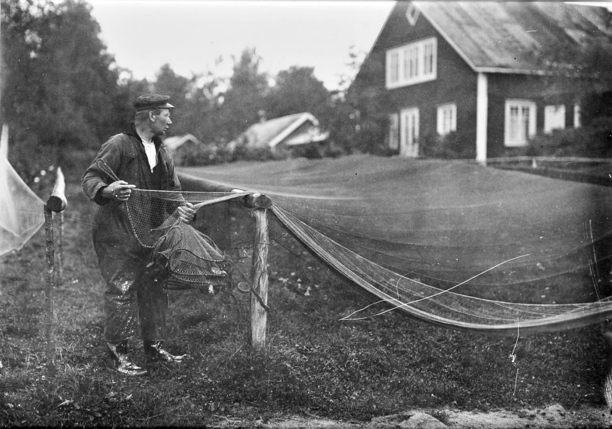 Arvid Nyholm asettaa verkkoa kuivumaan 1920-luvulla.