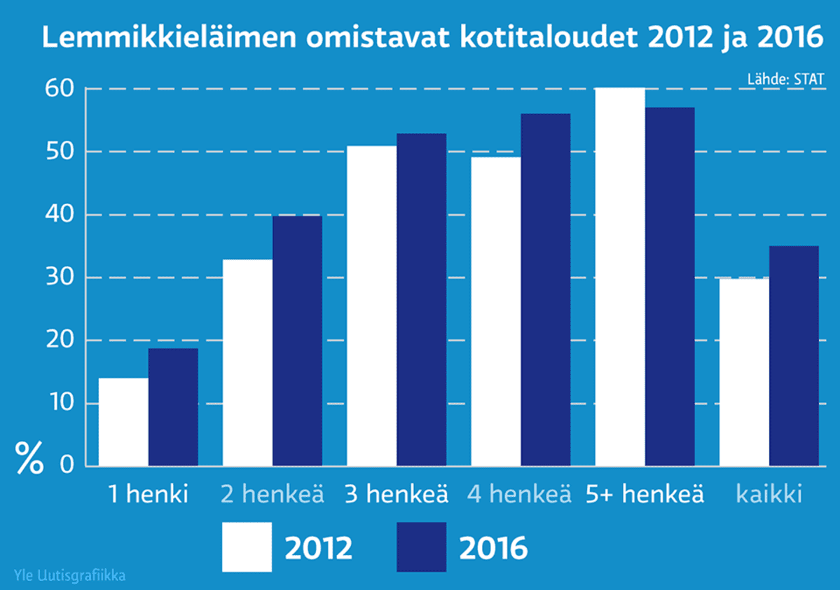 Grafiikka