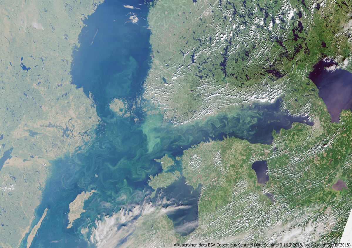 Satelliittikuva havainnollistaa Itämeren sinilevätilannetta. Kuvattu 16.7.2018.