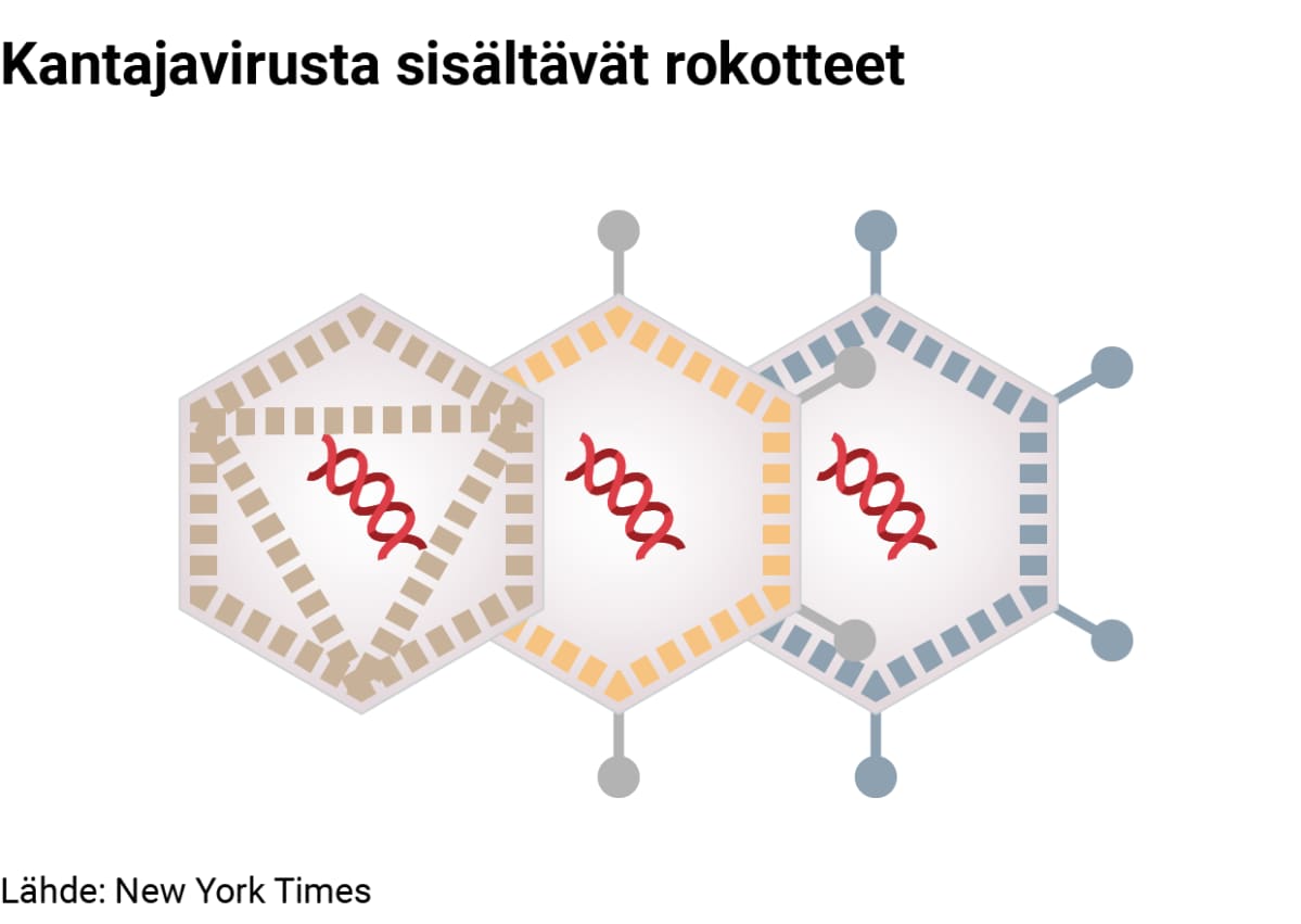Kantajavirusta sisältävä rokote
