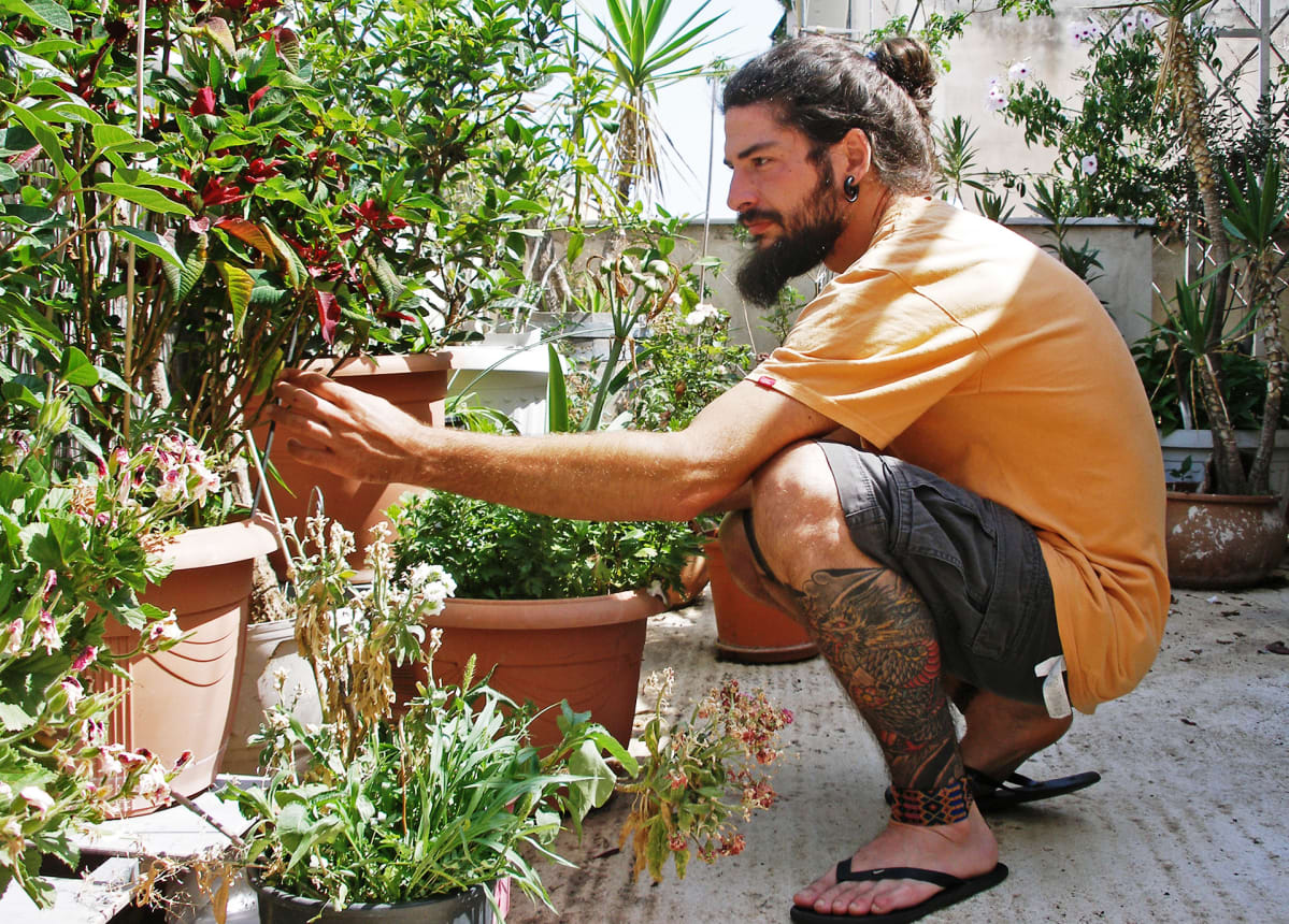 Dimitris Triantafillou.