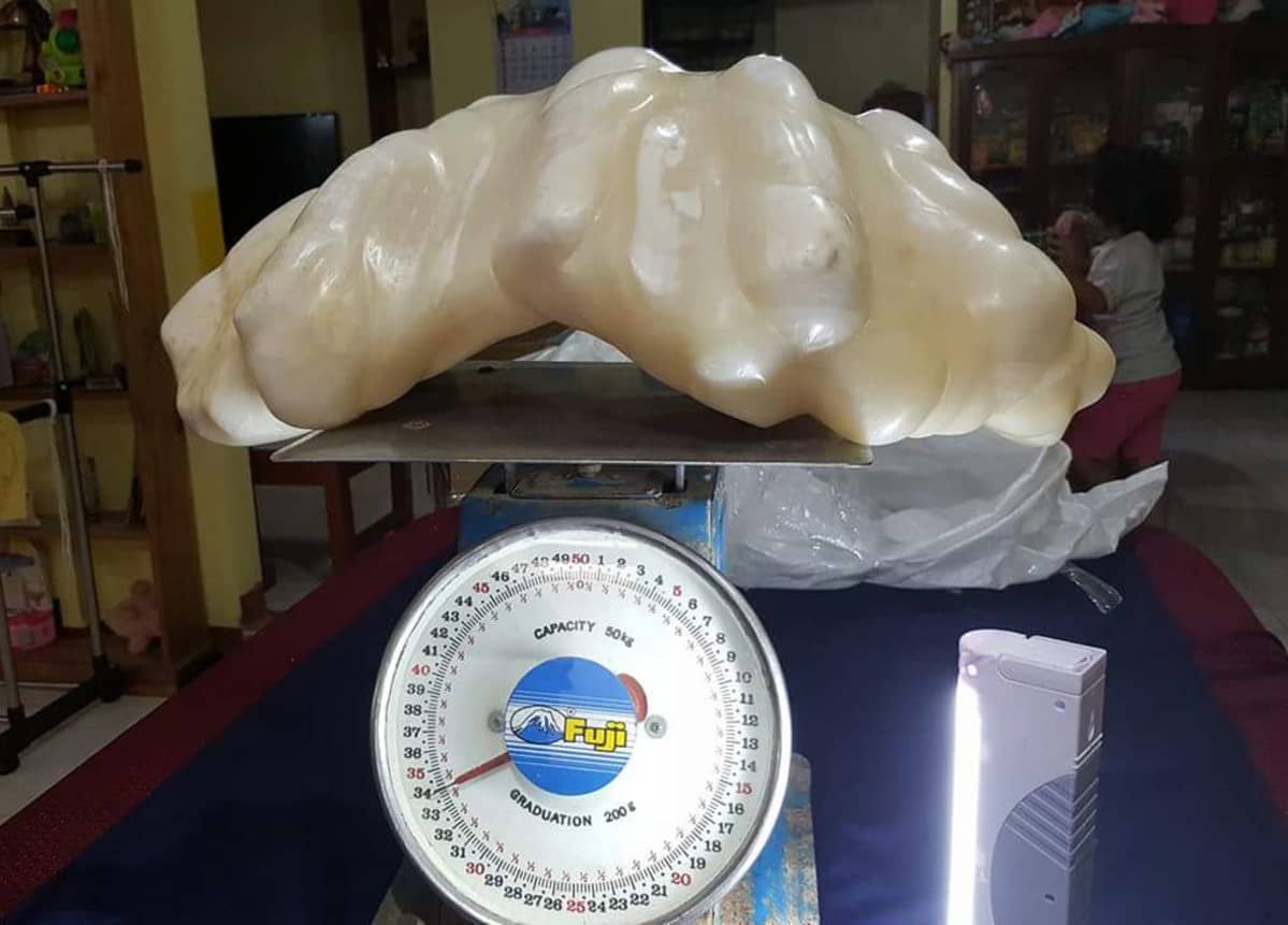 Päiväämätön kuva 34 kiloa painavasta helmestä Puerto Princesan kaupungissa Palawan-saarella, Filippiineillä.