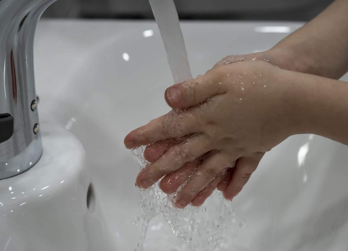 Päiväkoti Neulanen / Saukko ja Sopuli ryhmät / Päiväkotien hygienia / Helsinki 24.01.2020