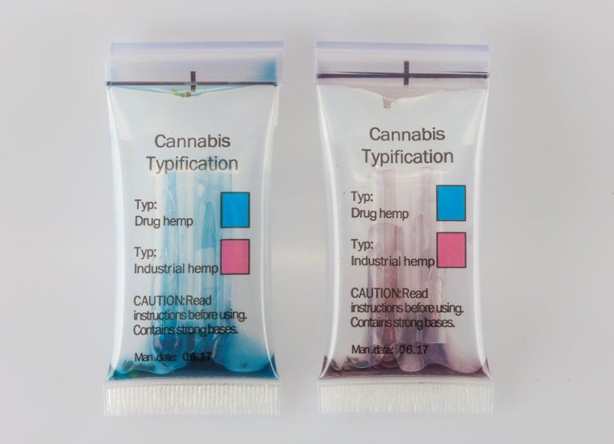 Kannabiksen testipakkauksia.