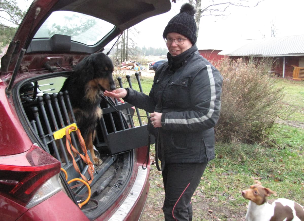 Tuula Tikerpuu päästää Brek-koiran autosta