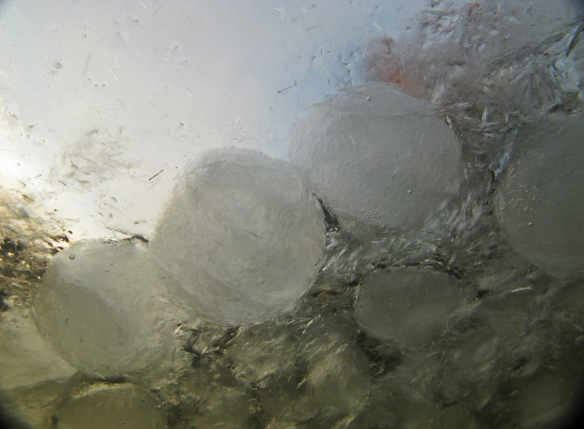 Päijänne 2.1.