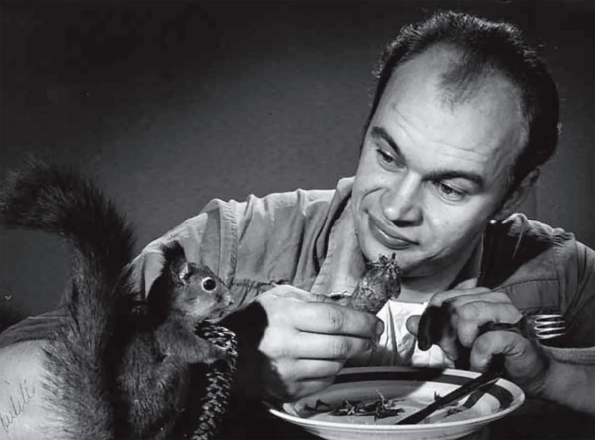 spede ja orava
