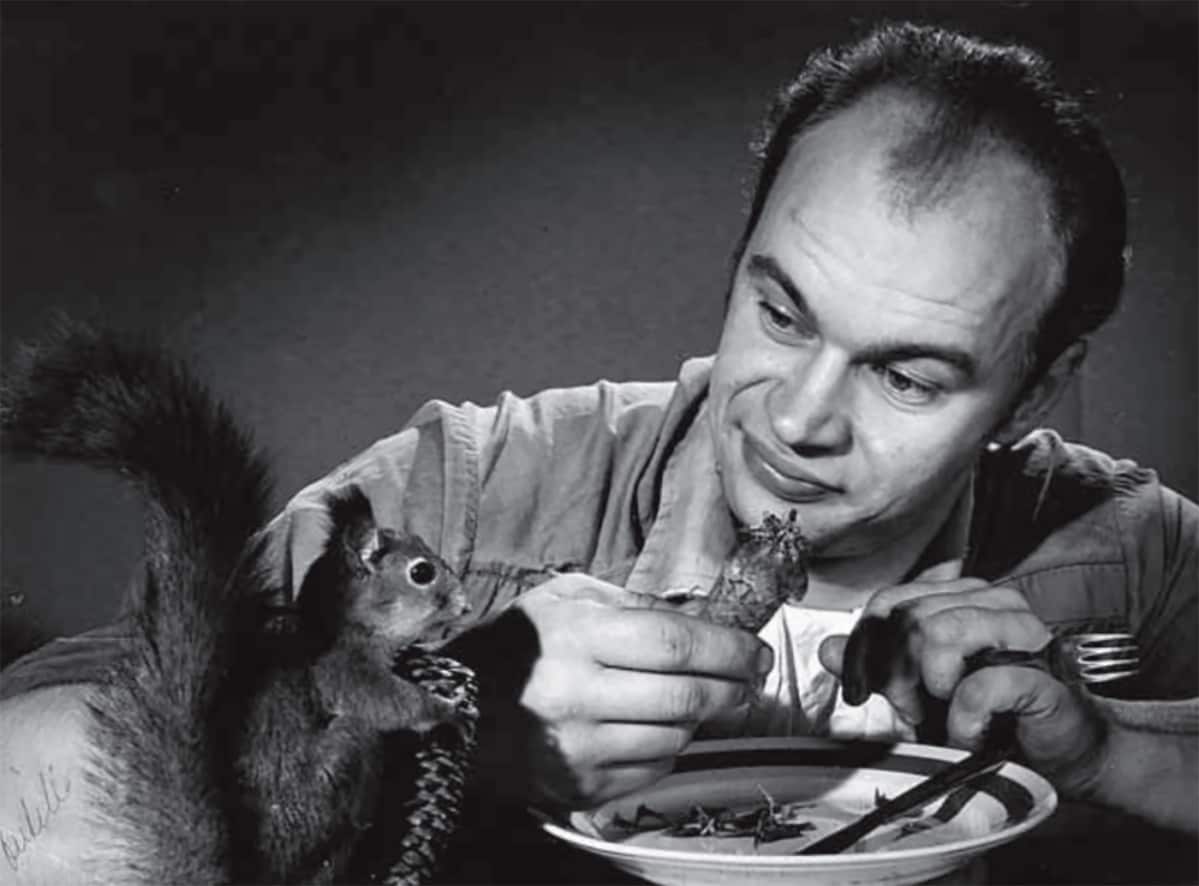 spede ja orava