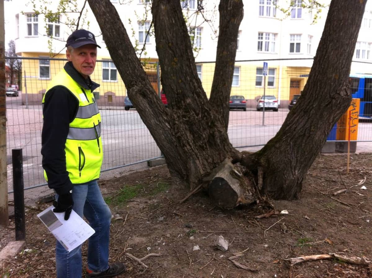Hannu Neuvonen ja poppeli.