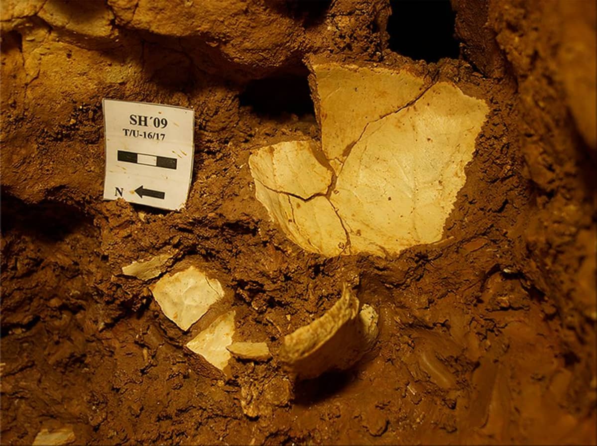 Tutkijoiden luolasta löytämä neandertalinihmisen kallo.