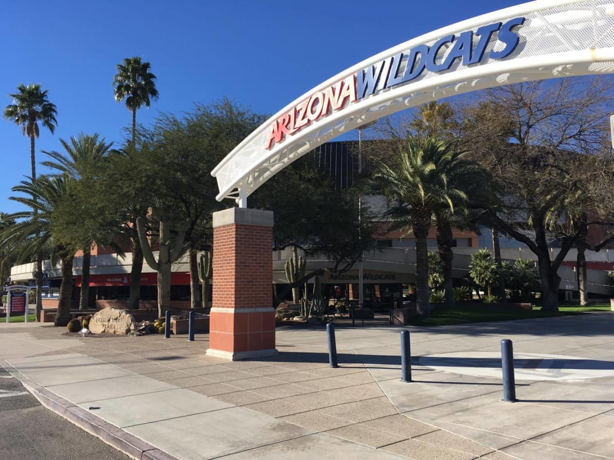Arizona Wildcats