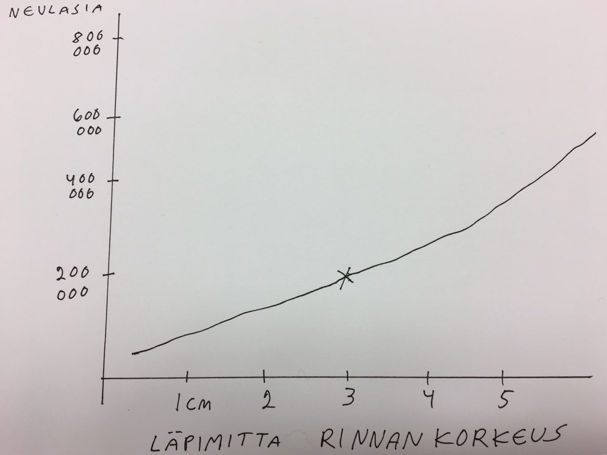 Joulukuusen neulasten laskentakaava