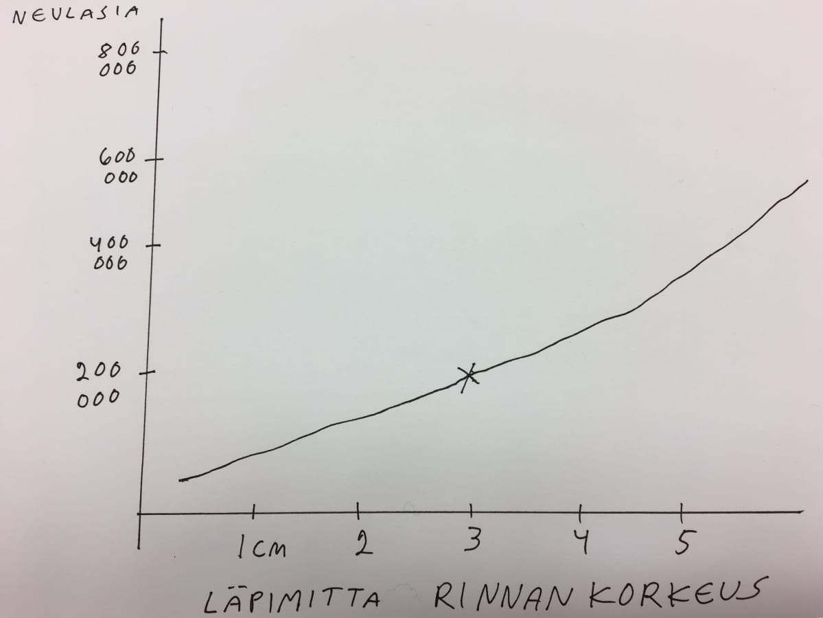 Joulukuusen neulasten laskentakaava