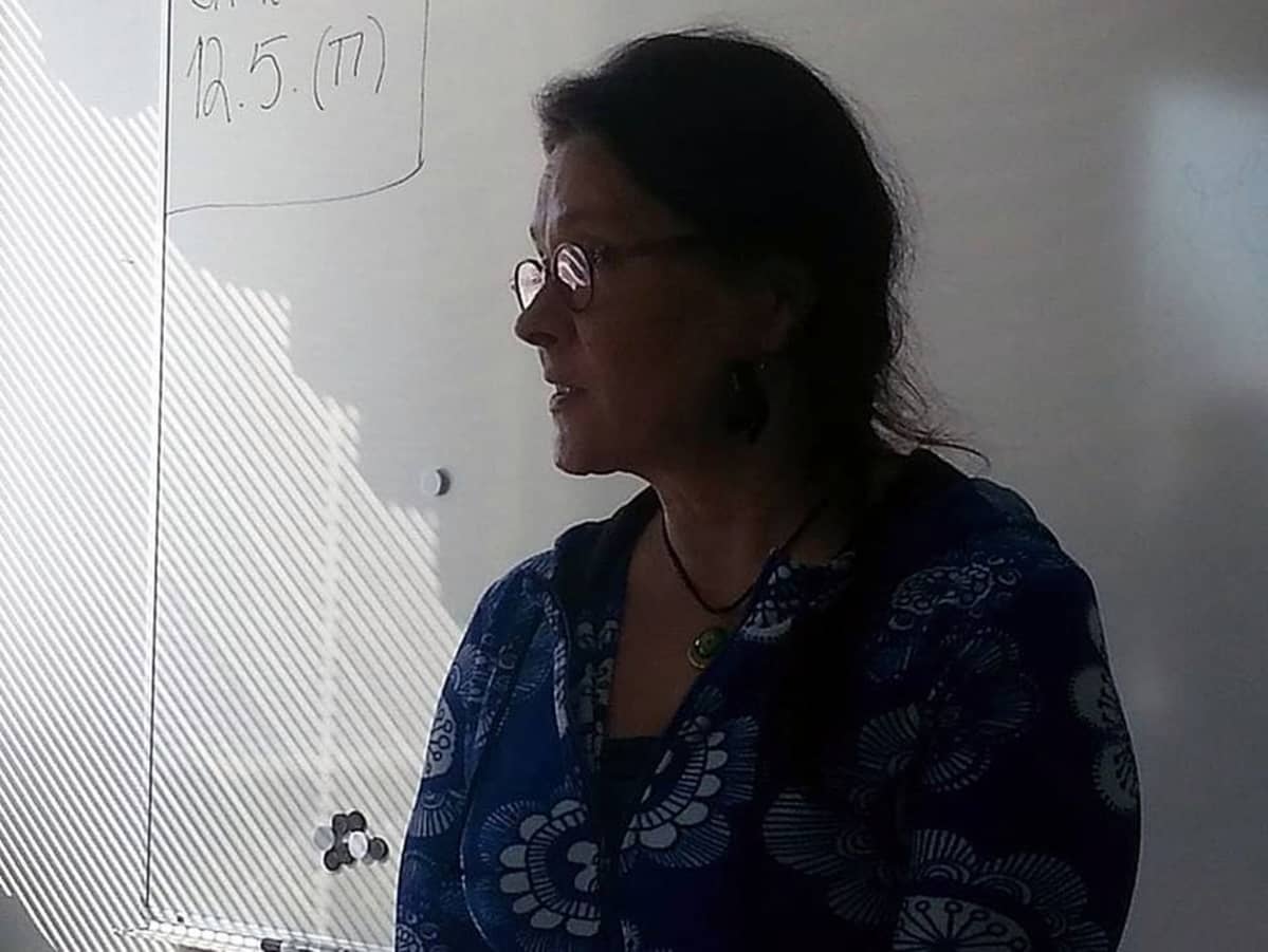 Kirjailija Sari Peltoniemi.