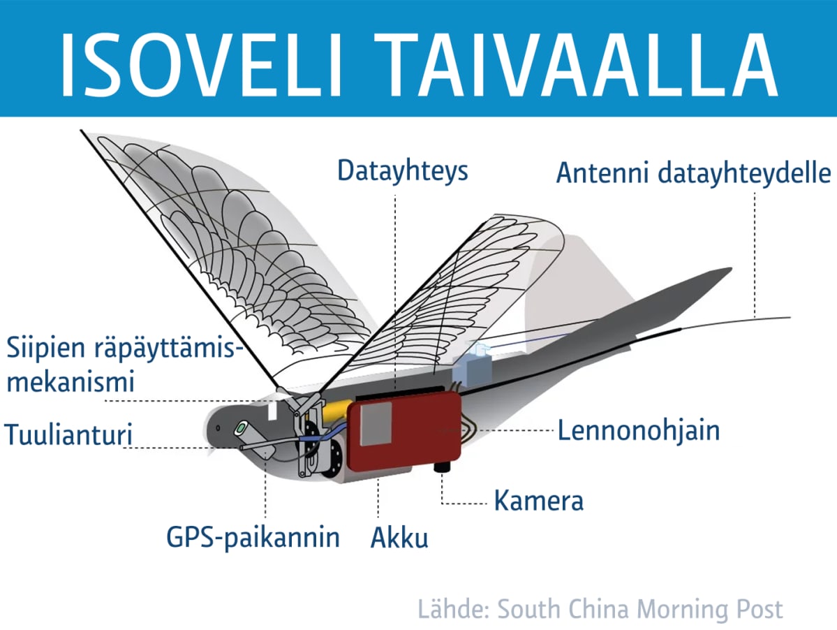 Vakoiludrone kaavapiirros