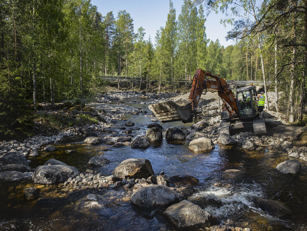 Mämmenkosken kalatietä rakennetaan.